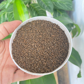 5kg hạt Mangan VN lọc phèn