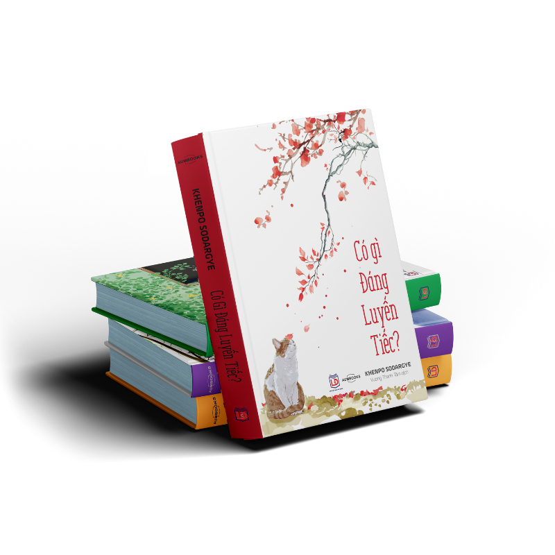 Bộ Sách An Trú Trong Hiện Tại - Khenpo Sodargye