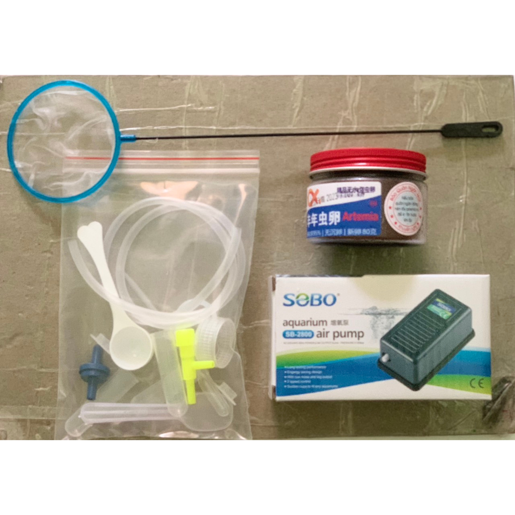 Combo hủ 80g artemia+máy oxy 1 vòi+bộ ấp artemia
