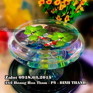 Bình thủy tinh nuôi cá để bàn,chậu cá thủy tinh mini,bình thủy tinh trồng cây thủy sinh đĩa chân