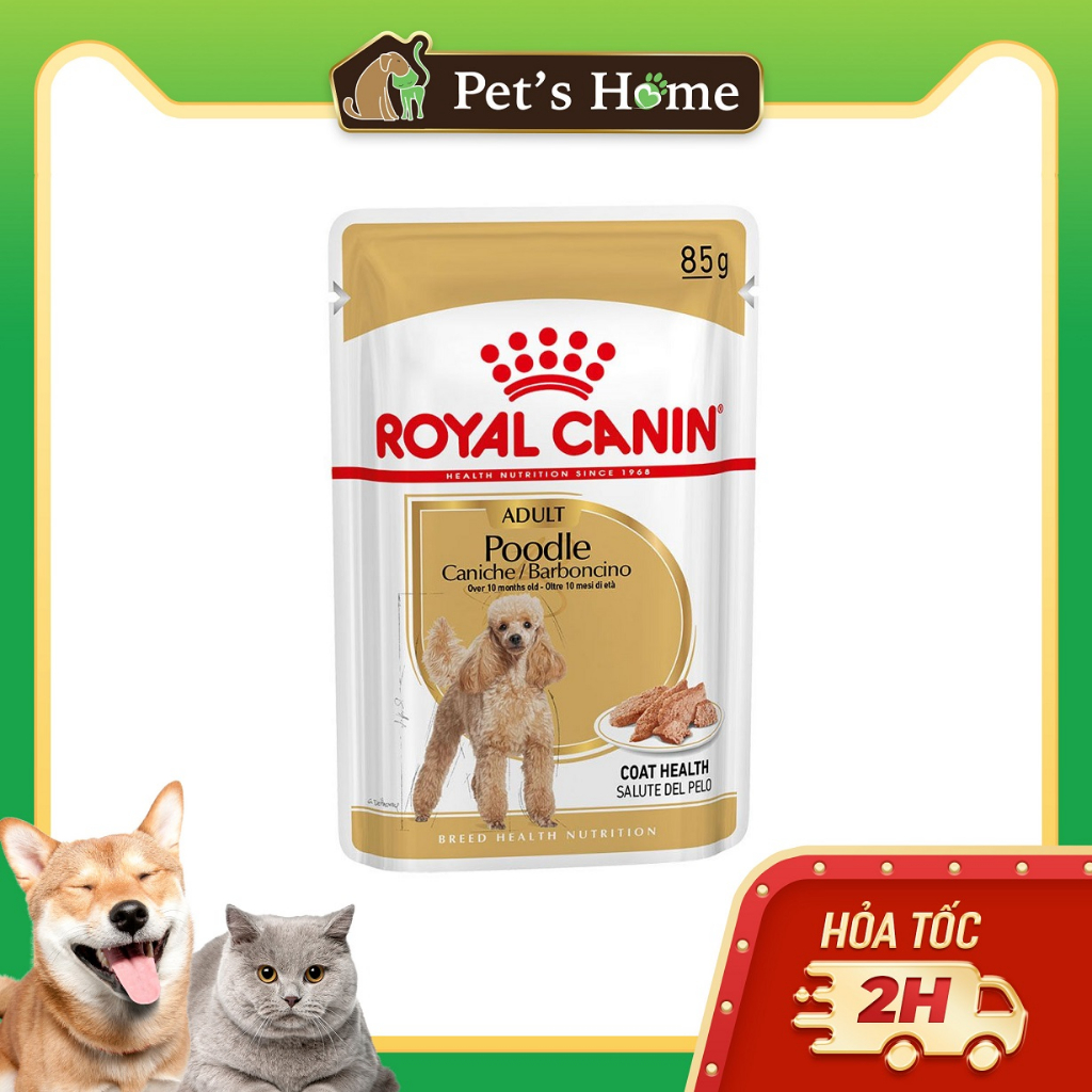Pate Royal Canin dành cho Poodle 85g