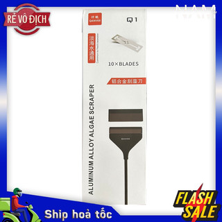 Dao cạo rêu inox qanvee q1 - q3