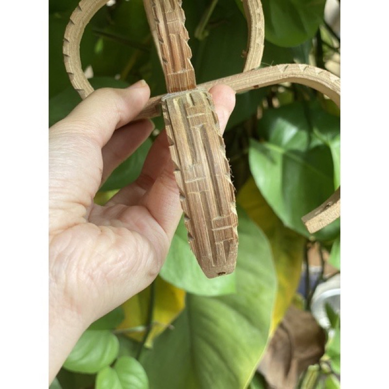 Chao Tách -Đục Lồng chim chích choè, hoạ mi