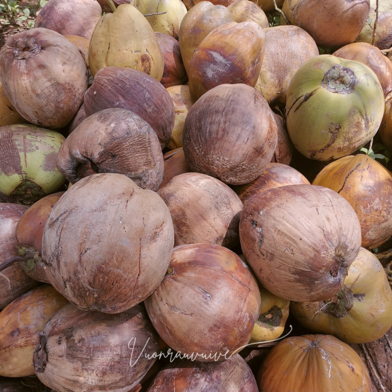 Nước Màu Dừa - Vườn Rau Vui Vẻ  nguyên chất kho thịt, cá thơm ngon - Nước Hàng Dừa