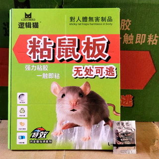 KEO DÁN CHUỘT SIÊU DÍNH KÈM MỒI