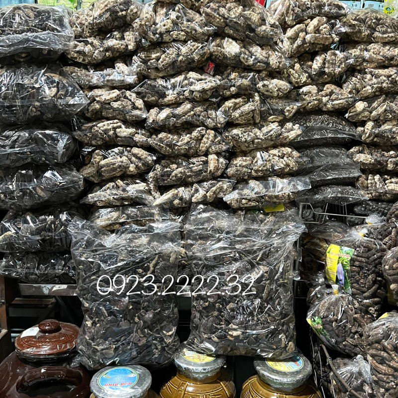 Chuối cô đơn rừng, chuối mồ côi, chuối chân voi