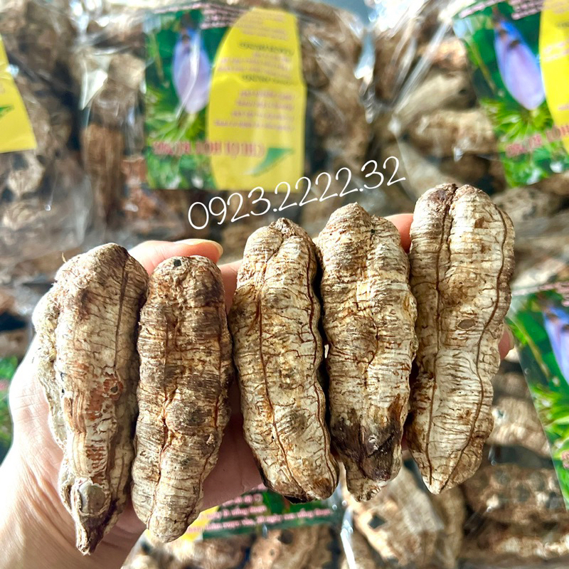 Chuối cô đơn rừng, chuối mồ côi, chuối chân voi