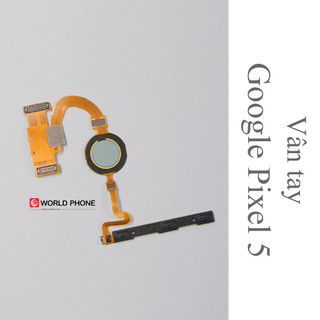 Vân tay Google Pixel 5