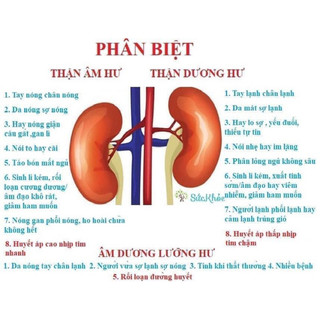 10 Bổ Thận Phá Hương Đan