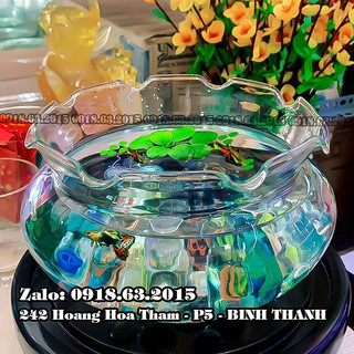 BÌNH THỦY TINH NUÔI CÁ ĐỂ BÀN,CHẬU CÁ THỦY TINH MINI,BÌNH THỦY TINH TRỒNG CÂY THỦY SINH-B17 18cm x 9cm
