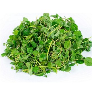 Hạt giống rau dền cơm- gói 10gr
