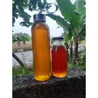 Mật Ong Rừng Nguyên Chất (ong khoái)