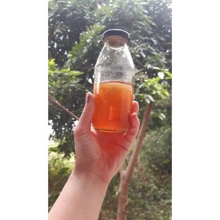 Mật Ong Rừng Nguyên Chất (ong khoái)
