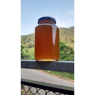 Mật Ong Rừng Nguyên Chất (ong khoái)