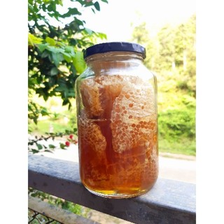 Mật Ong Rừng Nguyên Chất (ong khoái)