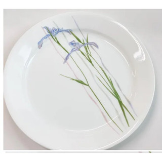 Combo 2 Dĩa thuỷ tinh Mỹ Shadow Iris Corelle 7707 -18cm