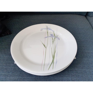 Combo 2 Dĩa thuỷ tinh Mỹ Shadow Iris Corelle 7707 -18cm