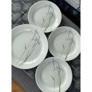 Combo 2 Dĩa thuỷ tinh Mỹ Shadow Iris Corelle 7707 -18cm
