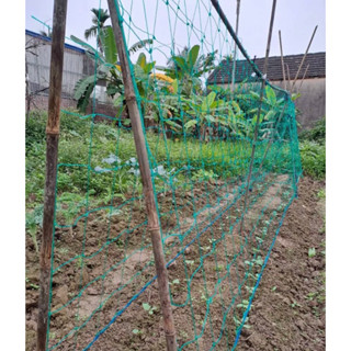  Lưới làm giàn leo dành cho bầu bí dưa ch. uột cà chua và các loại cây thân leo 