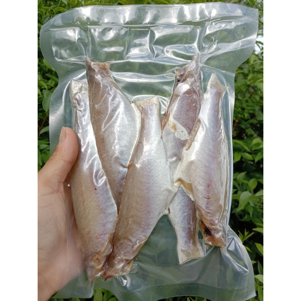 Khô Cá Đổng 2 Nắng Thịt Nhiều Thơm Ngon Loại 1- Vựa Khô Minh Triết