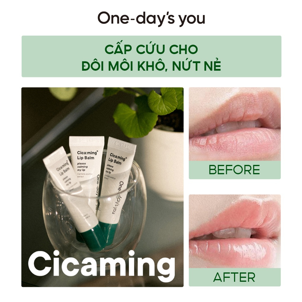 Son Dưỡng Ẩm Và Làm Dịu Môi One Day's You Lip Balm 10ml