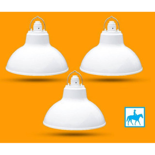 Bộ Chao đèn Chóa đèn nhựa trắng ngoài trời 20cm và đuôi E27 Kín nước
