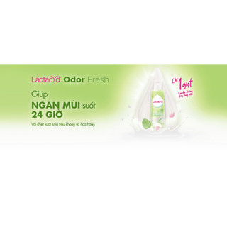 Dung dịch vệ sinh LACTACYD ODOR FRESH 250ML
