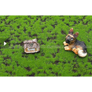 Thảm rêu, cỏ trang trí tiểu cảnh