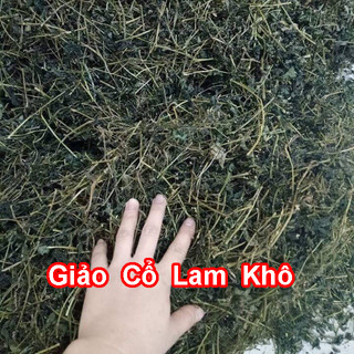 Giảo cổ lam loại 7 lá chuẩn xịn