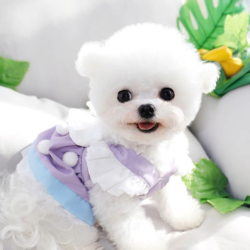 Váy đầm bánh gato dành cho chó mèo