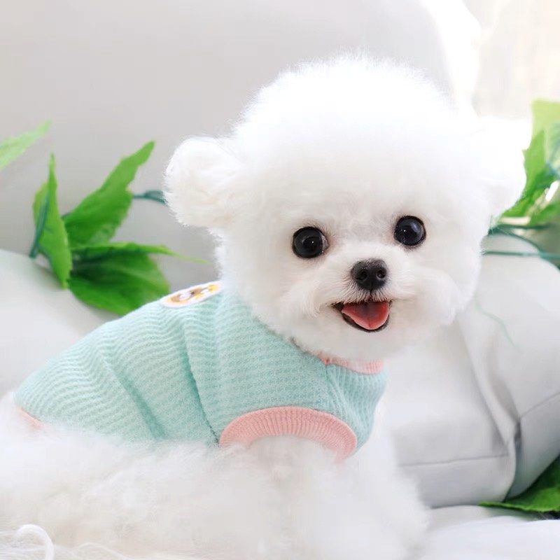 Áo thun gấu viền màu cho chó mèo