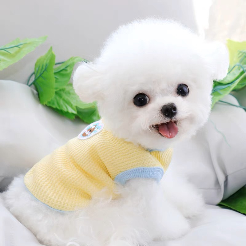 Áo thun gấu viền màu cho chó mèo