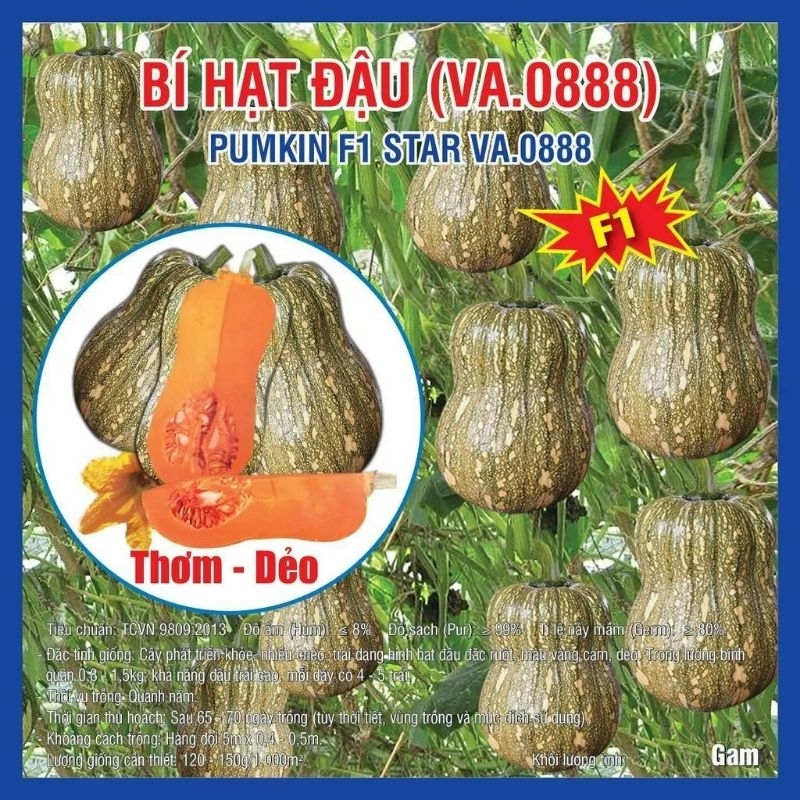 HẠT GIỐNG BÍ ĐẬU F1 VIỆT Á GÓI 10 HẠT