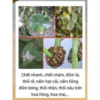 Thuốc Trừ Nấm Bệnh Aqua