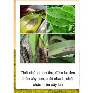Thuốc Trừ Nấm Bệnh Aqua