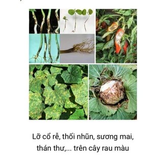 Thuốc Trừ Nấm Bệnh Aqua