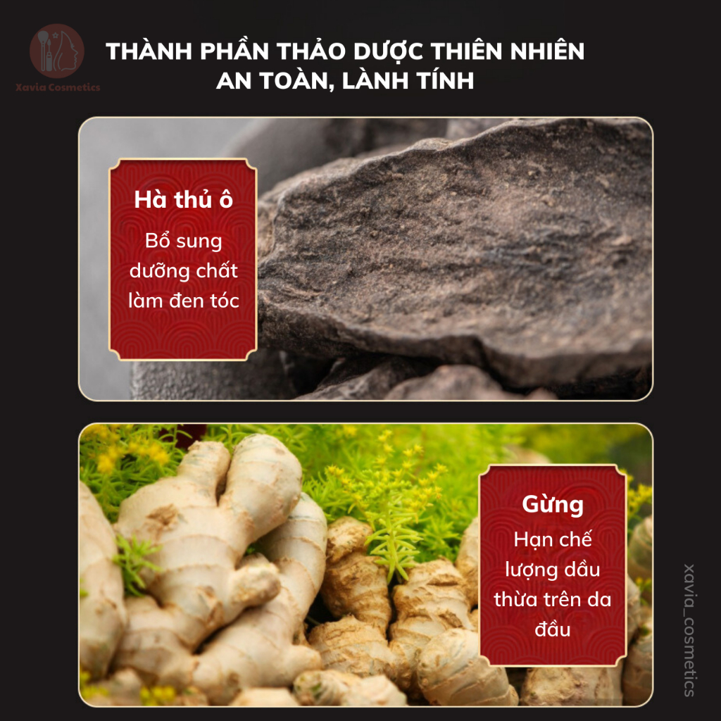 Tinh Chất Thảo Dược Đen Tóc Bai Kon - Tinh Chất Thảo Dược Cải Thiện Tình Trạng Bạc Tóc, Nuôi Dưỡng Tóc Đen, Bóng Mượt