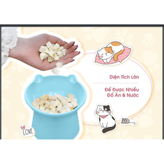 Chén (bát) chống gù lưng cho chó mèo - T3 PETS SHOP