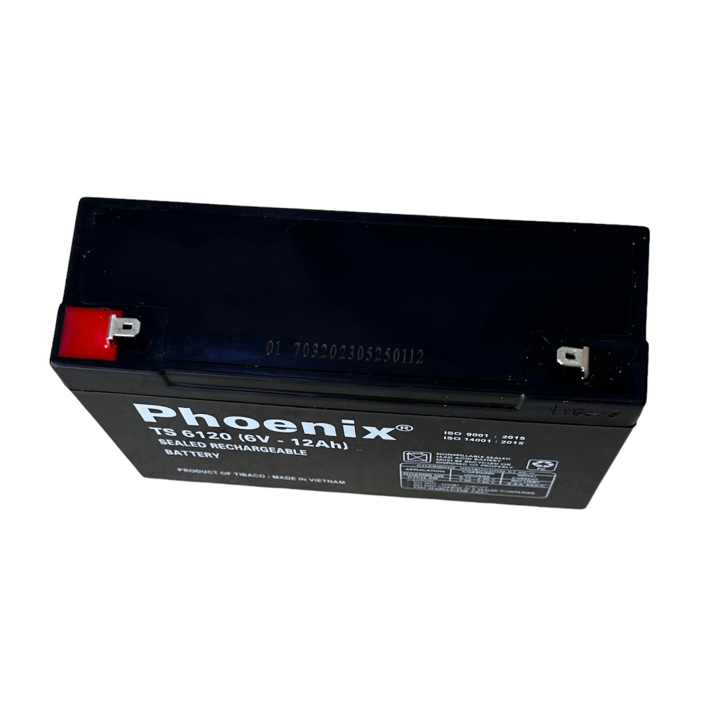 Ắc quy xe máy điện ô tô điện trẻ em 6V-12ah - Phoenix TS6120
