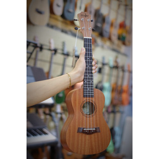 Đàn Ukulele Concert Gỗ chính hãng Music hoặc BWS - size Concert - Basic