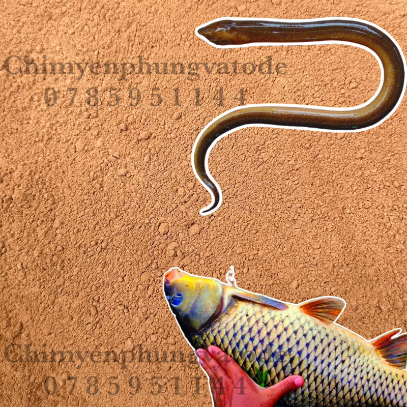 1kg Bột Gòn mịn kết dính  thức ăn chăn nuôi, làm nhang, ép cám viên hoặc trộn cám câu cá..