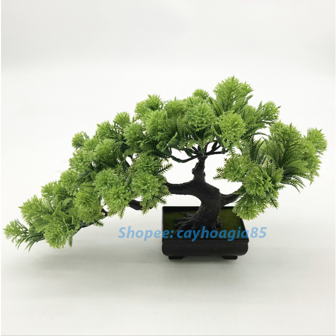 Cây bonsai giả - cây tùng dáng đẹp decor trang trí may mắn