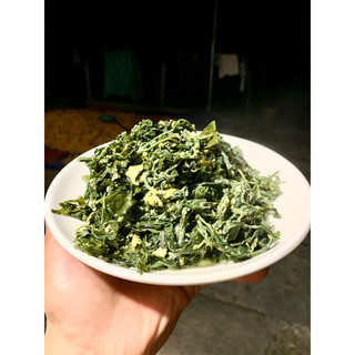 Cây Rau Đắng ( Đắng cảy, Bọ mẩy) - Combo 3 Cây