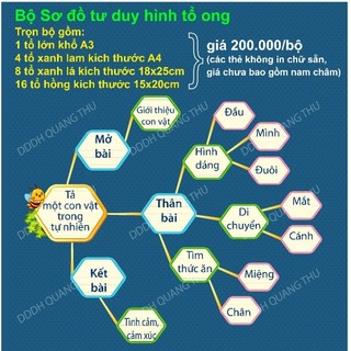 Bộ sơ đồ tư duy hình tổ ong