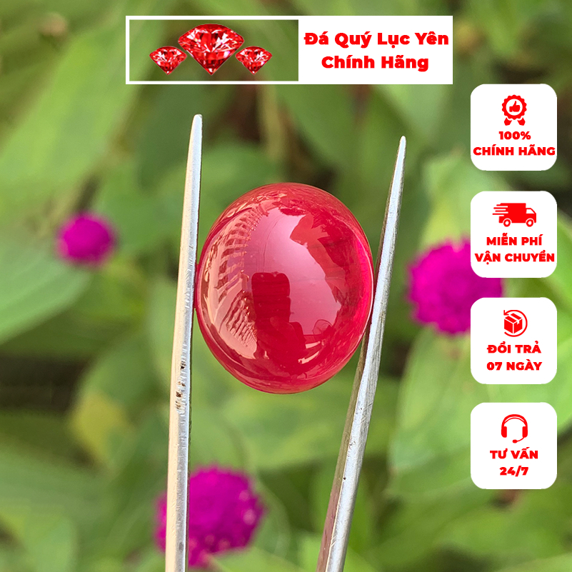 [Mã Bmlta35 Giảm Đến 35K Đơn 99K] Đá Ruby Tự Nhiên T Khai Tuyen Bạc Phủ Vàng 18K Nf001