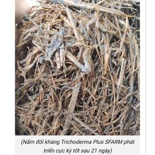Nấm đối kháng Trichoderma plus Humic Sfarm gói 500g
