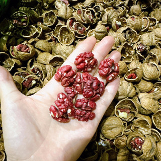 Hạt Óc chó đỏ