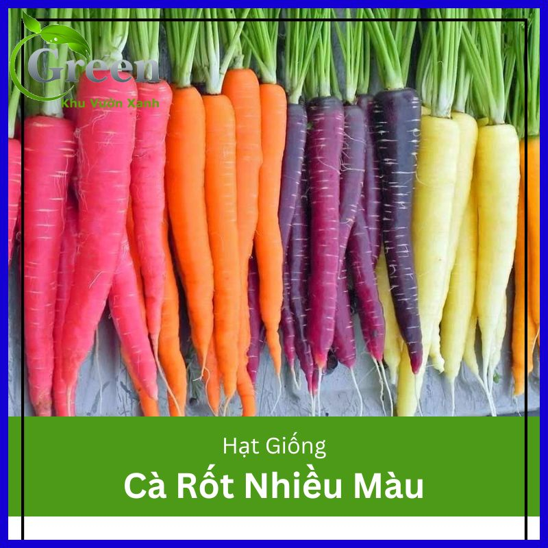 Hạt Giống Cà Rốt Nhiều Màu (Gói 50 hạt) Trồng Quanh Năm