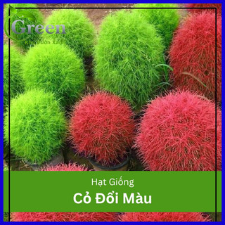 Hạt Giống Cỏ Đổi Màu Nhật Bản (100H)