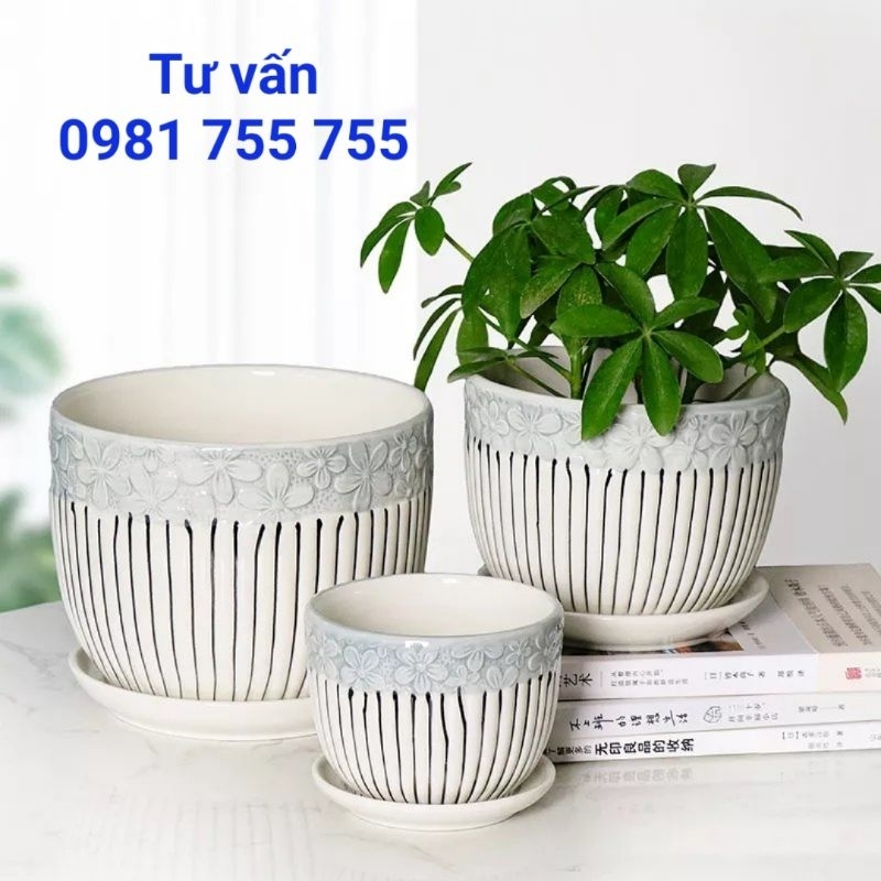 Chậu Gốm Sứ Miệng 11cm_Trồng Cây mini,bonsai để bàn kèm đĩa lót
